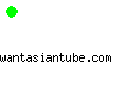 wantasiantube.com
