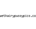 wethairypussypics.com