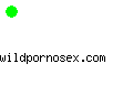 wildpornosex.com