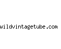 wildvintagetube.com