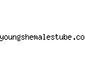 youngshemalestube.com